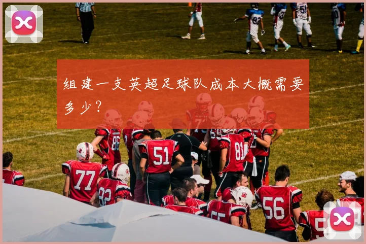 组建一支英超足球队成本大概需要多少？