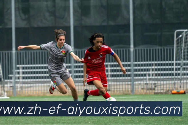 爱游戏体育发展历程